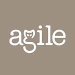 Agile USA logo