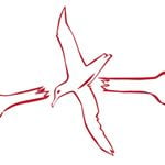 Albatross logo