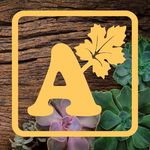 Alsip Home & Nursery logo