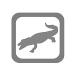 Amazound logo