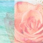 Angela Sol Rose logo