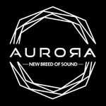 Aurora DSP logo