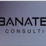 BanaTech Consulting logo