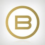 Bellissima Hair Tools logo