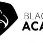 Black Eagle Academy logo