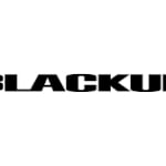 Blackup Global logo