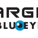 Blu Eye logo