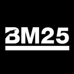 BM25 logo