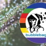 Bubble Bags logo