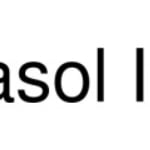 Casol logo
