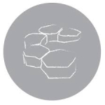 Causeway Aromatics logo