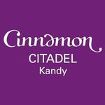Cinnamon Hotel logo