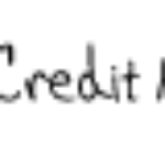 Credit Monkey logo