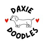 Daxie Doodles logo
