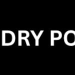 Dry Pocket logo