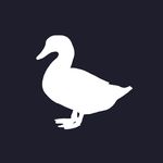 duckinvestments.com logo