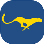 Easy Critical CSS logo