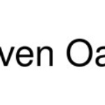 Eleven Oasis logo