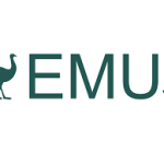 EMU Safety Glasses logo