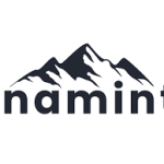 Enamint logo