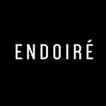 Endoire logo