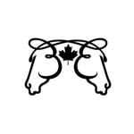Equine Essentials Tack & Laundry Services - Equine Essentials Tack & Laundry Services logo