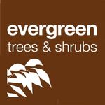 Evergreen Direct logo