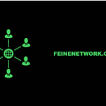 FeineNetwork logo