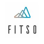 Fitso logo