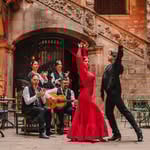 Flamenco Palau Dalmases logo