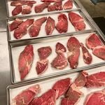 Freeze Dry Wholesalers logo