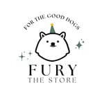 Fury The Store logo