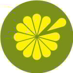 George Thomas Florist logo