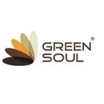 Green Soul Ergonomics logo