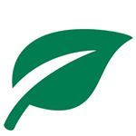 Green Street Design logo