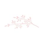 Handmade Soap Club logo