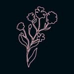 IndiGlo Aesthetics logo