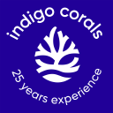 Indigo Corals logo