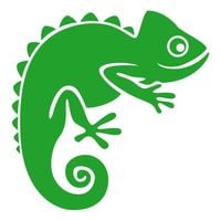 Internet Reptile logo