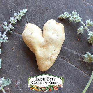 Irish Eyes Garden Seeds logo