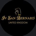 Ivsan Bernard logo