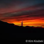 Kim Koubek Photography logo