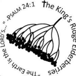 King's Ridge Elderberries logo
