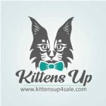 KittensUp4Sale logo