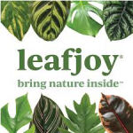 Leafjoy logo