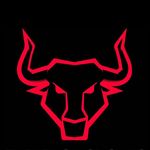 Matador Sports logo
