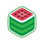 MelonCube logo