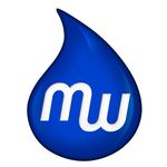 Mobile Wash logo