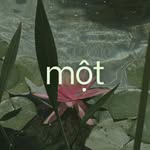 mot matcha logo
