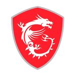 MSI US logo